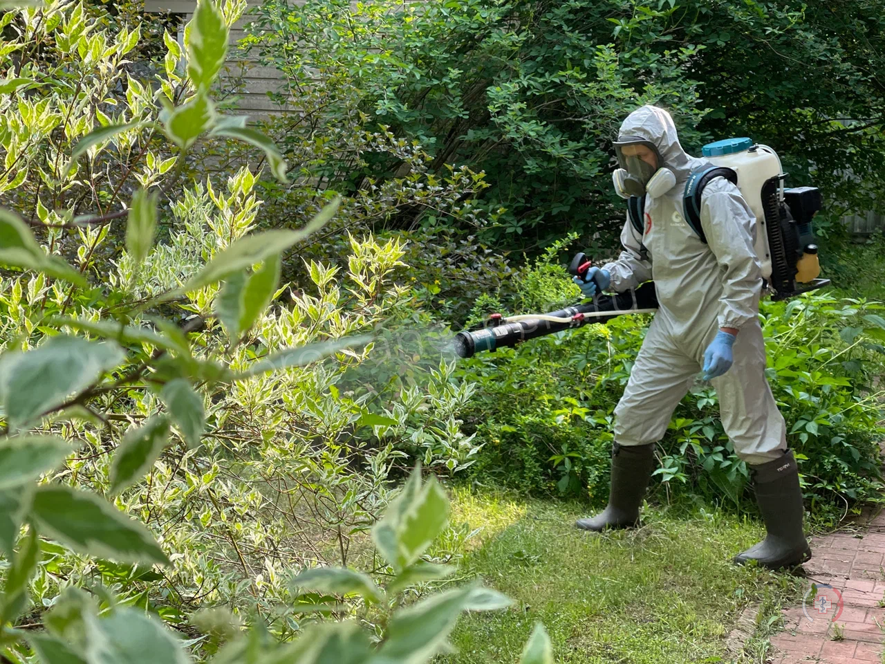 Галерея